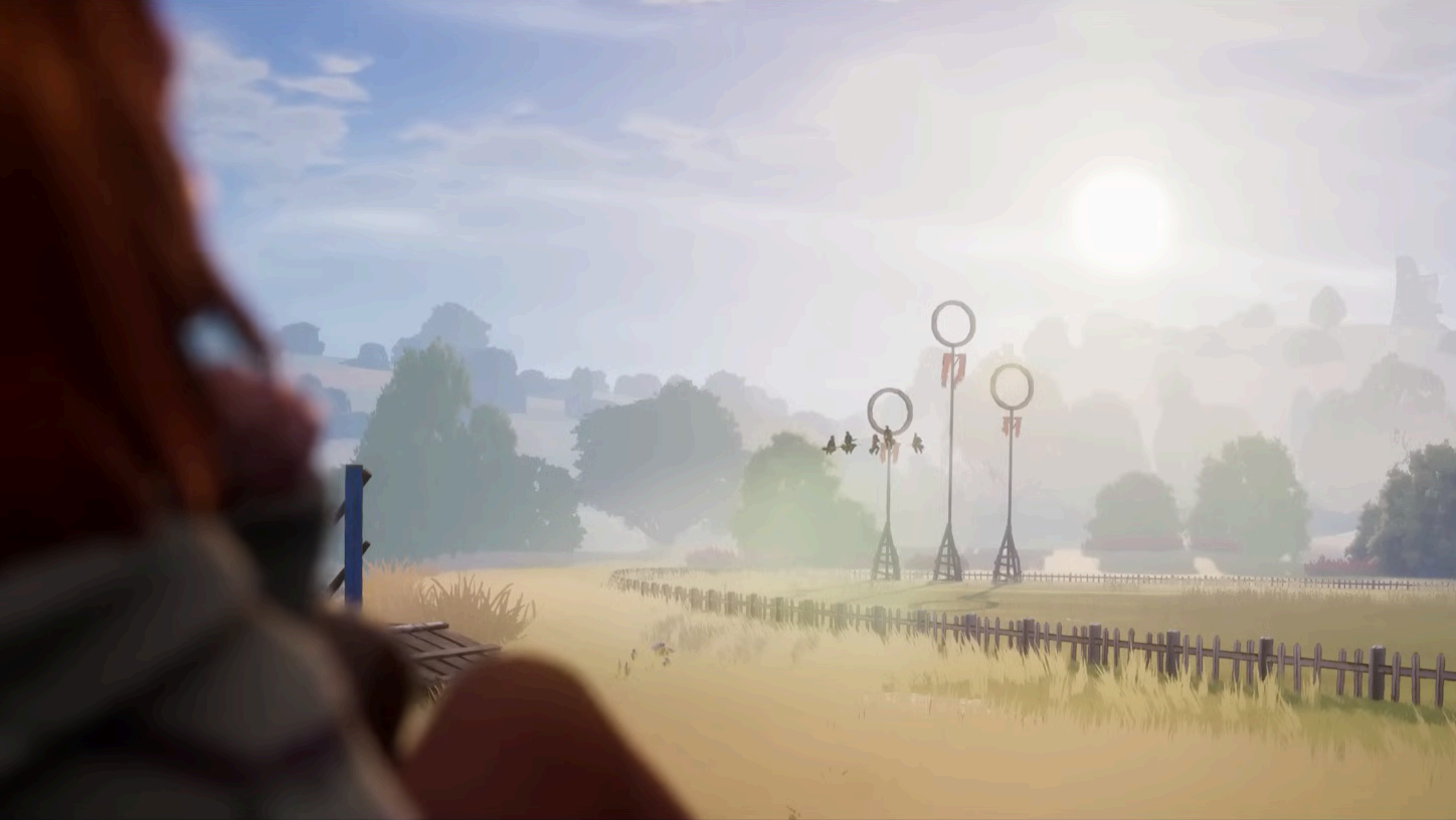 Distant, cinematic look at a quidditch arena