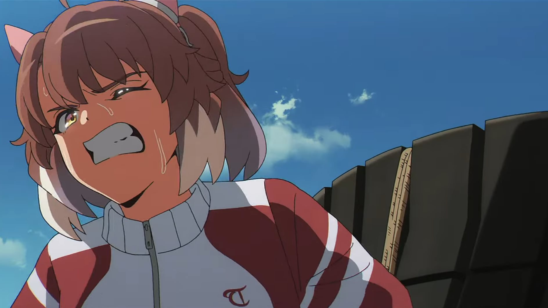 Dantsu Flame is just one of the important characters in Umamusume: Pretty Derby — Beginning of a New Era. She is a secondary rival to Jungle Pocket, training by carrying a big, heavy tire around in this image.